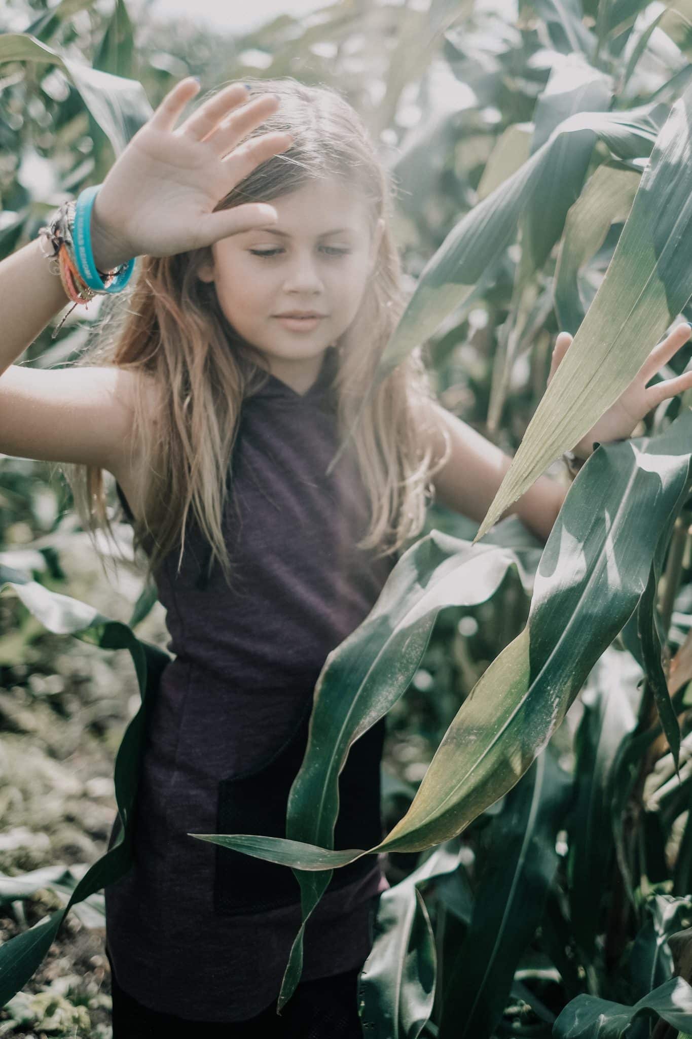 Hanalei Swan